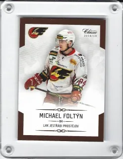 Foltýn Michael OFS Chance Liga 2018-19  č.115